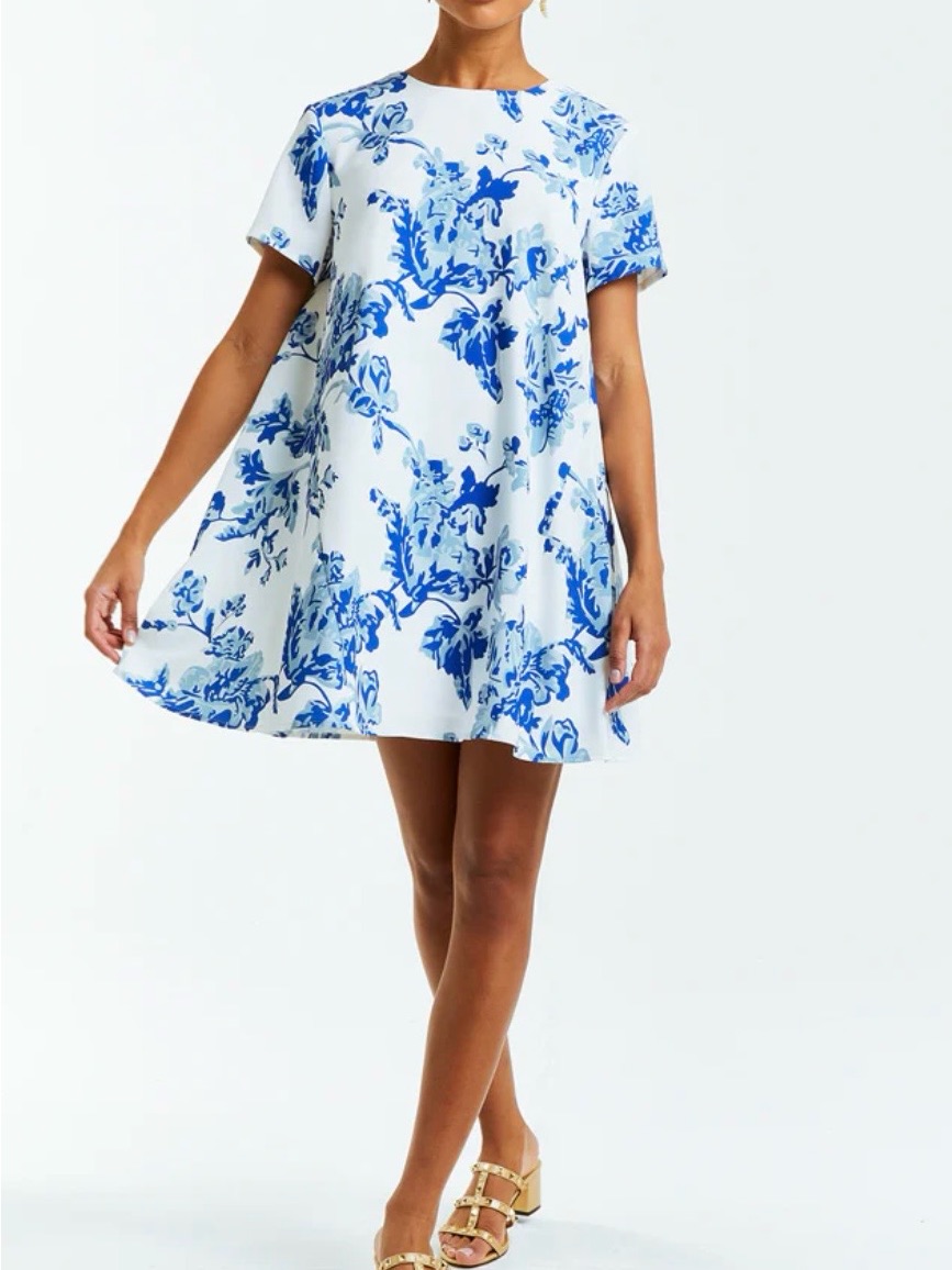 Mestiza Cecily Blue Floral Mini Dress - Women